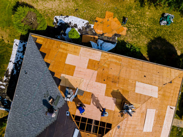 Best Storm Damage Roof Repair  in Cannelton, IN