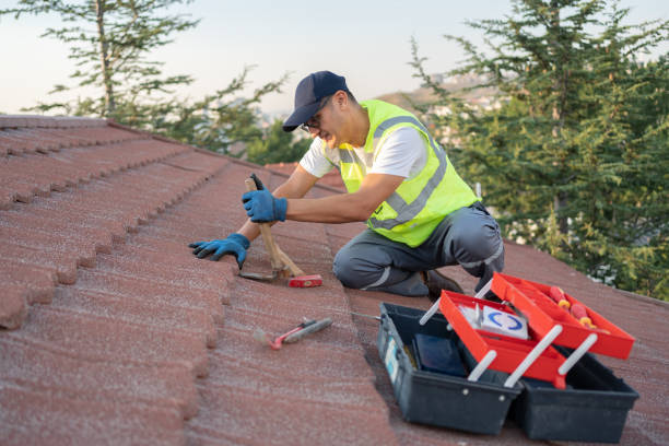 Best Commercial Roof Installation  in Cannelton, IN